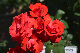 image0516