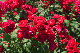 image0518