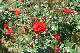 image0520
