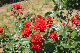 image0522