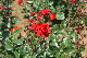 image0523