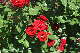 image0525
