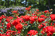 image0527