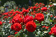 image0529