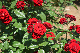 image0531