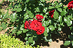 image0532