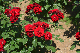 image0533