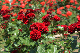 image0536
