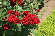 image0537