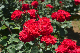 image0540