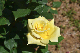 image0543
