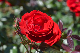image0544