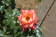 image0545