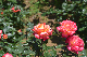 image0547
