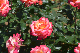 image0548