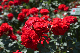 image0549