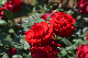 image0552
