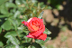 image0553