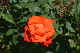 image0554
