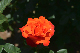 image0556