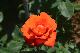image0558