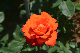 image0559