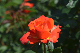 image0560