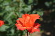 image0561
