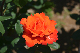 image0562