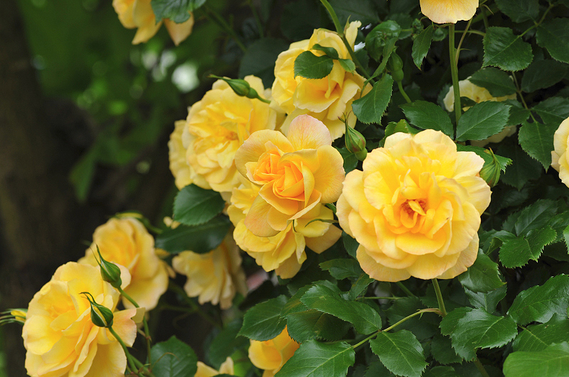 image0142