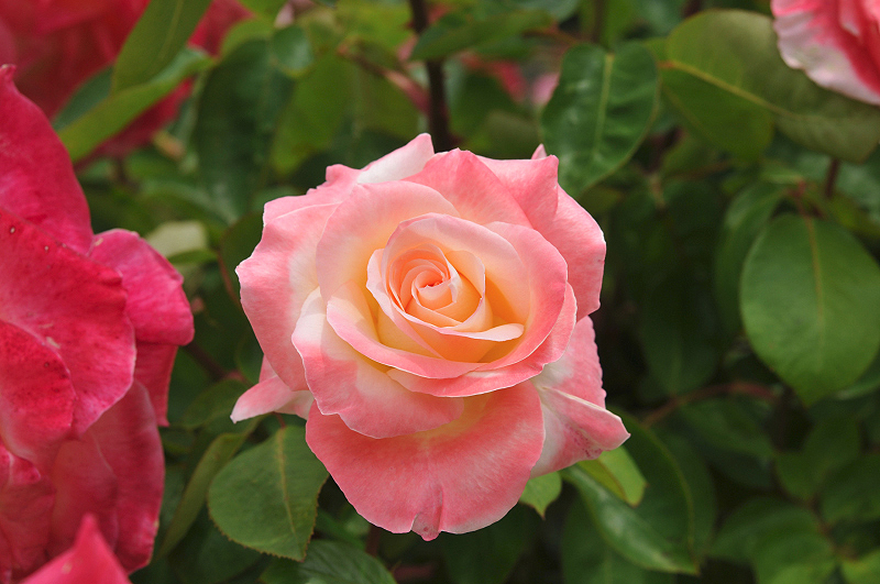 image0161