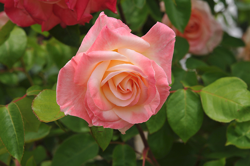 image0165