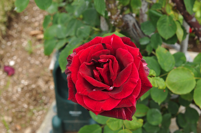image0166