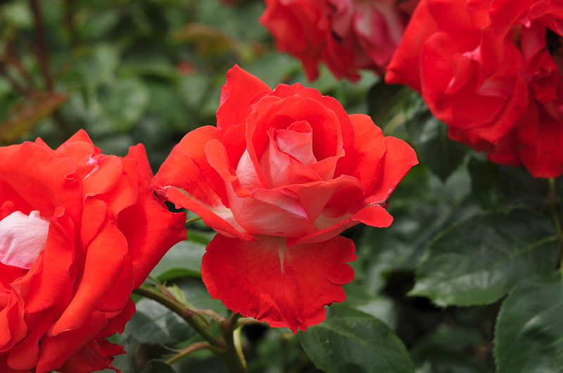 image0167