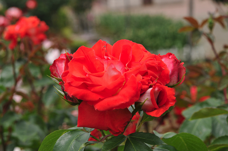 image0168