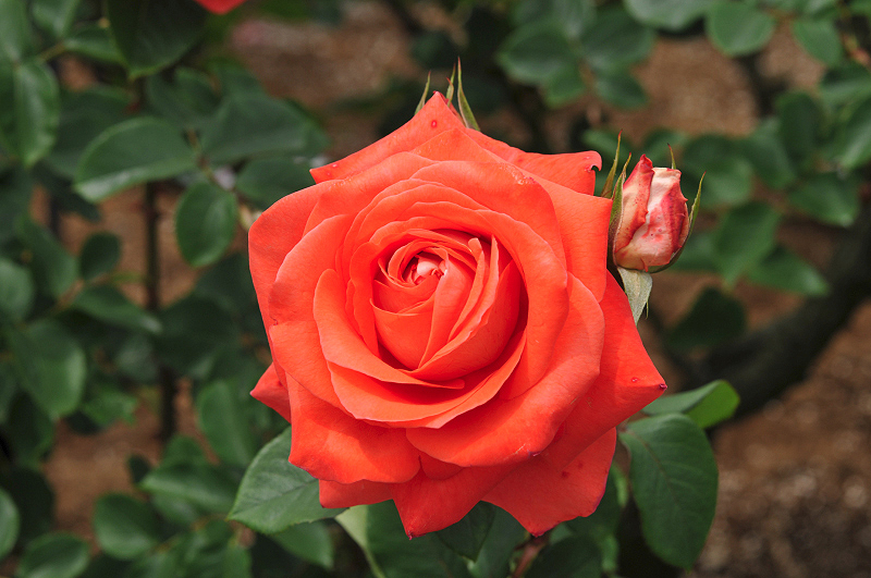 image0169