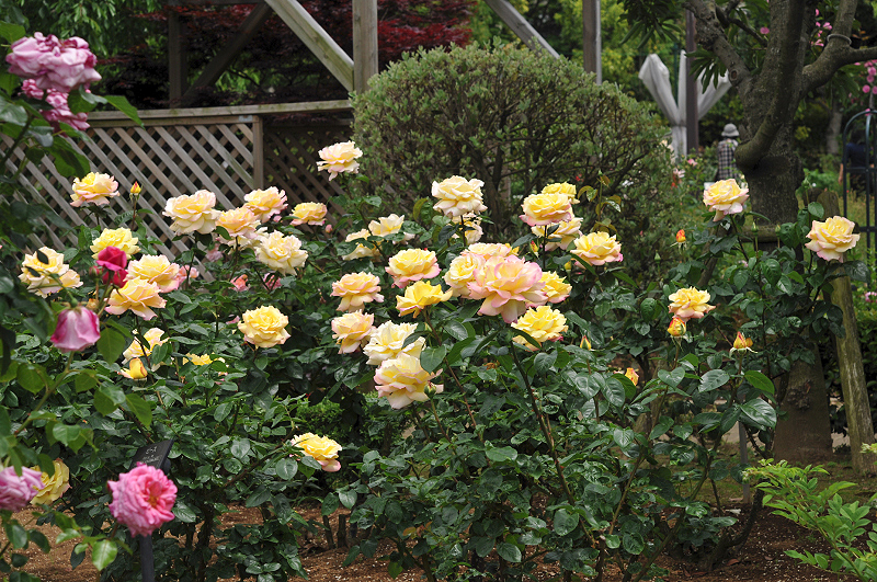 image0170