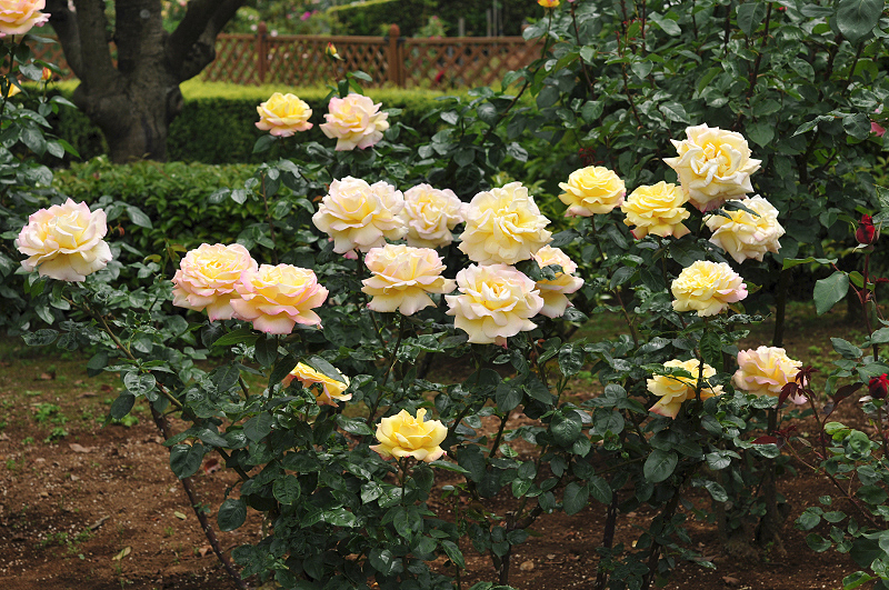 image0171