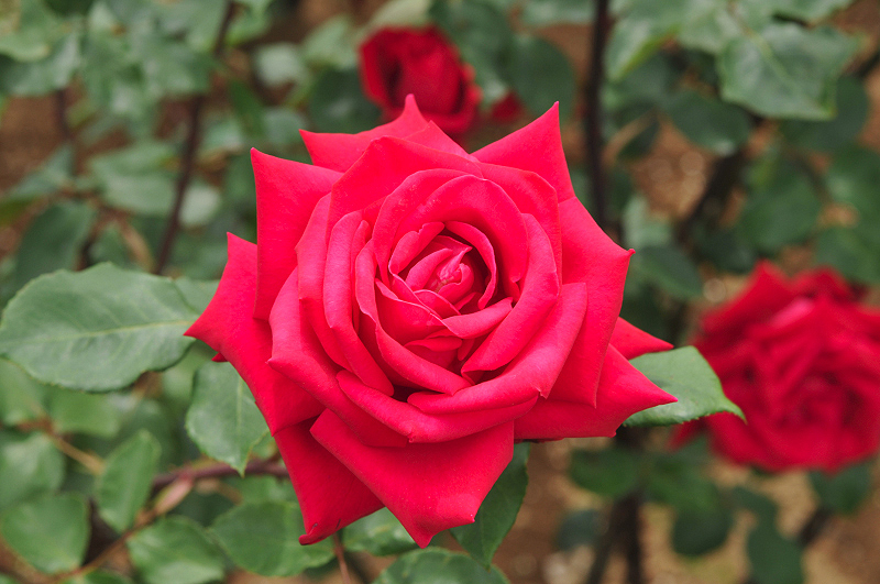 image0172