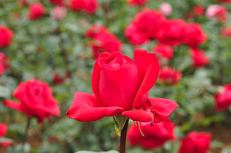 image0173