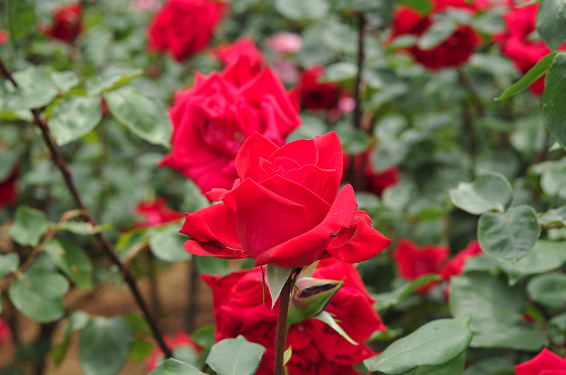 image0174