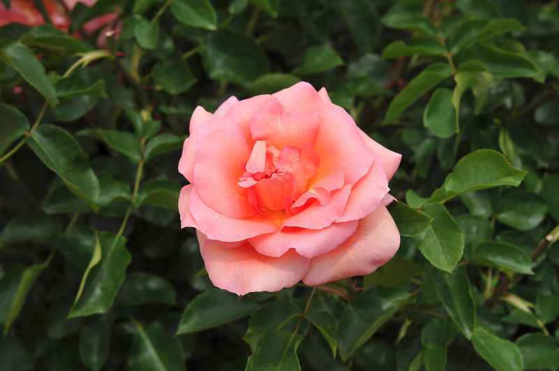 image0175