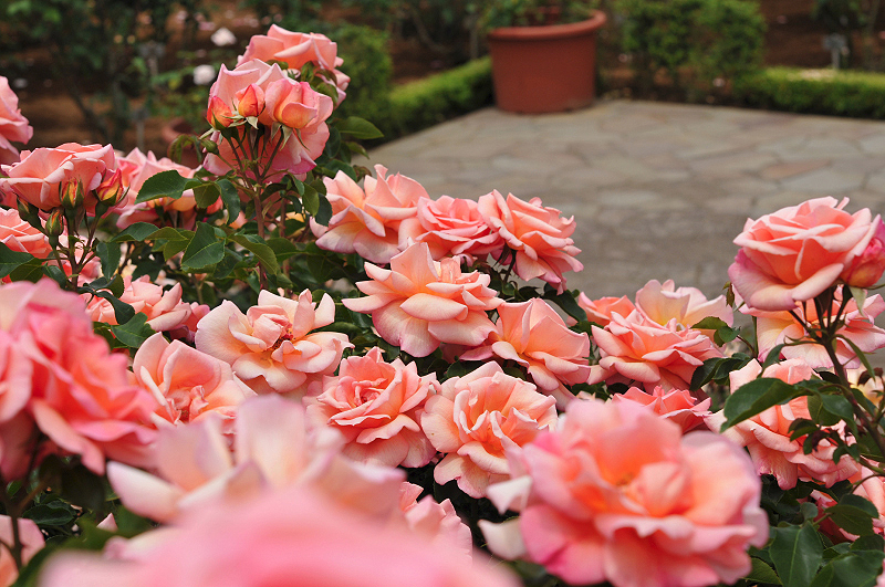 image0178