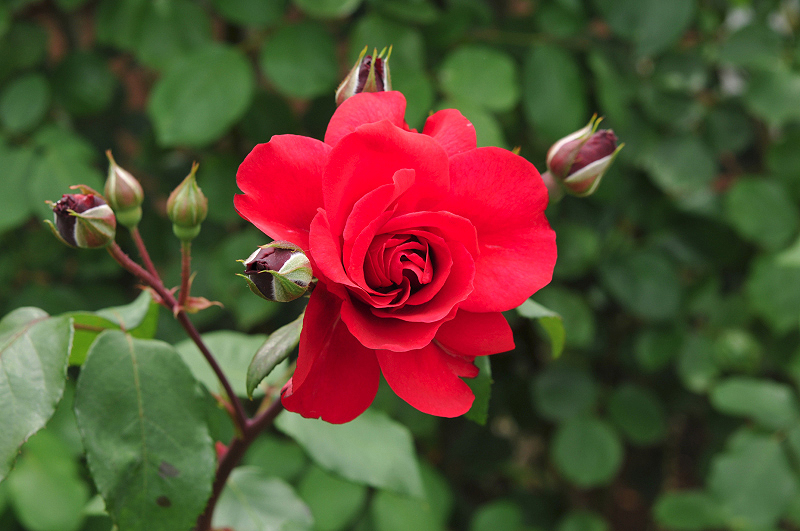 image0184