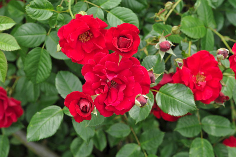 image0187