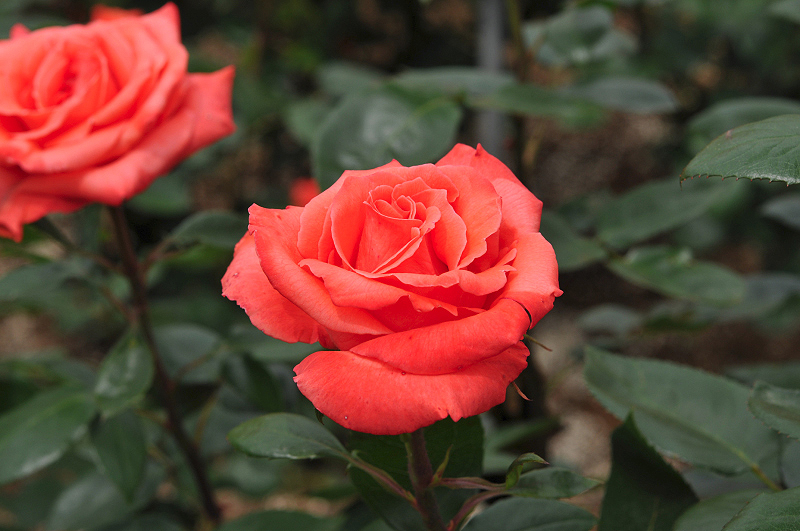 image0189