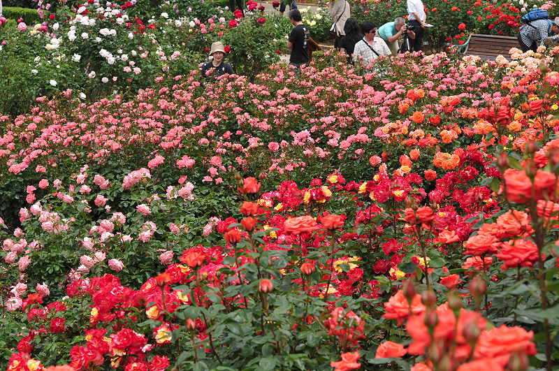 image0197