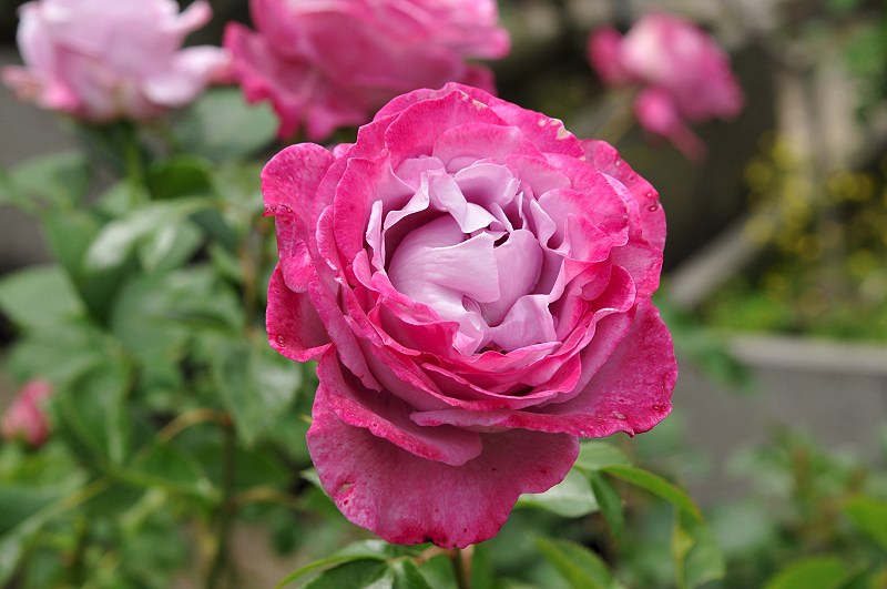 image0200