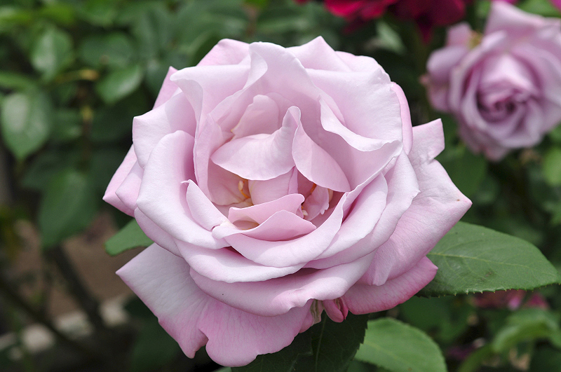 image0212