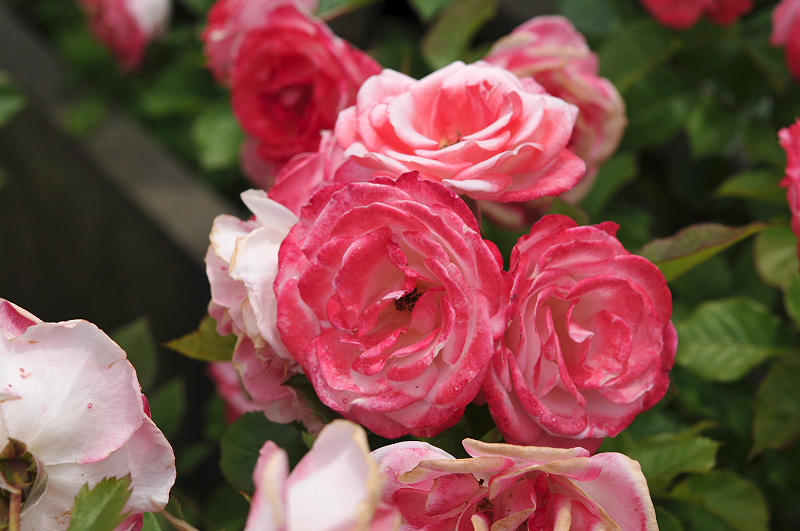 image0213